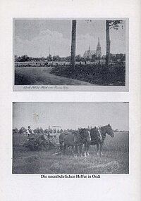 2007 Rückseite Uedsche_2007_r